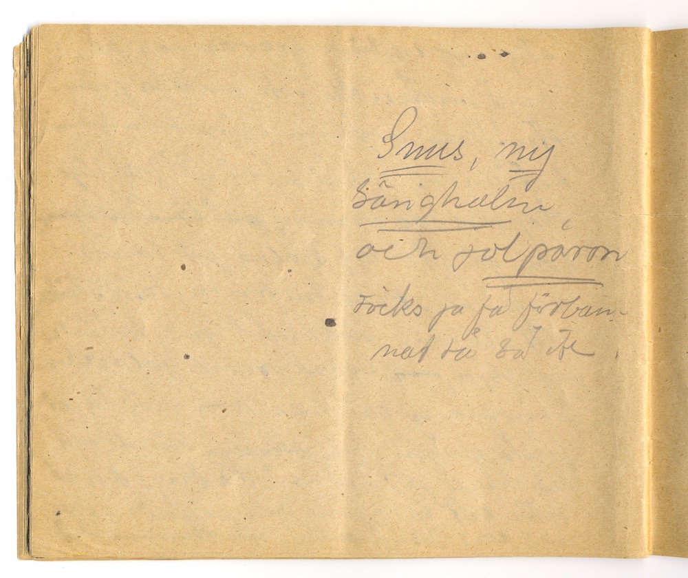 1:a majtal i Nora 1910. – Sida 28 - Klicka för bild i full storlek.
En inskannad sida från ett gulnat häfte med text i blyerts.