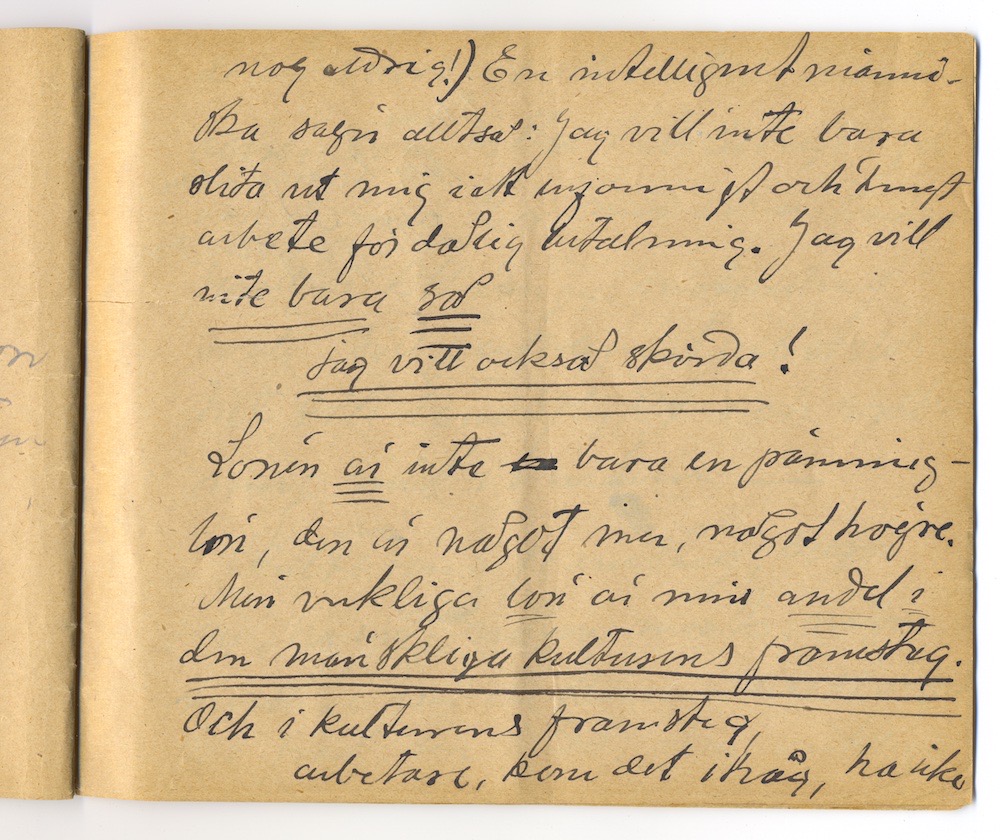 1:a majtal i Nora 1910. – Sida 29 - Klicka för bild i full storlek.
En inskannad sida från ett gulnat häfte med text i svart bläck.